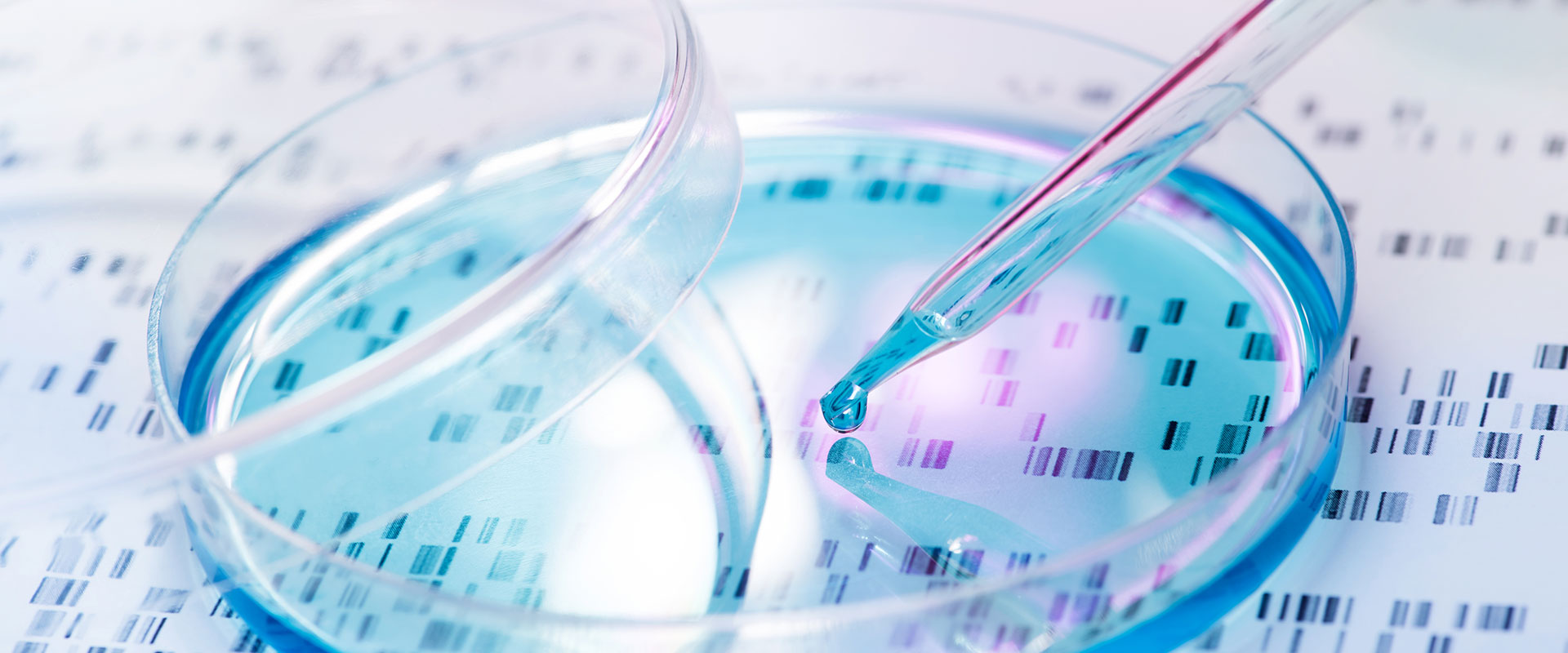 Background image of petrie dish and DNA markers.